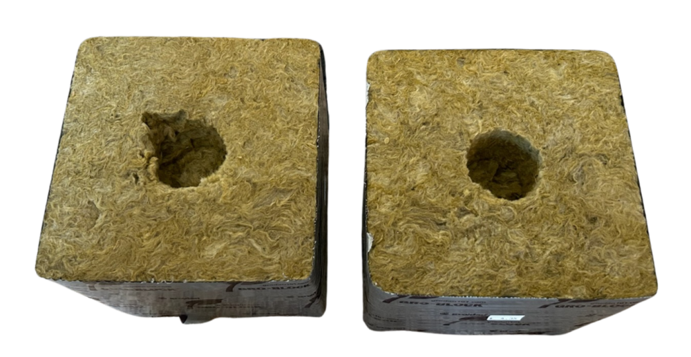 Rockwool Cubes